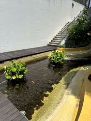 Bliss@Kovan (D19), Condominium #553319181